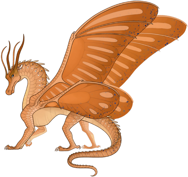 File:Атала референс.png