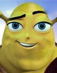 File:YaLikeShrek?.jpeg