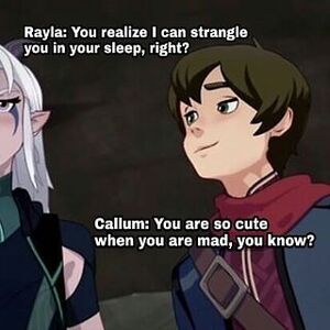 52800617 2481050868788736 2309140005870972839 n.jpg