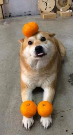 Screenshot 2020-08-01 at 5.37.10 PM.png