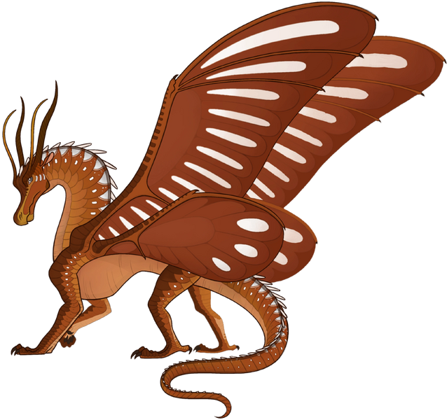 File:Референс Данаид.png