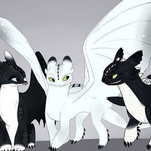 49933961 245579923001766 3308552579281699207 n.jpg