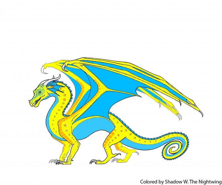 File:A typical rainwings.jpg