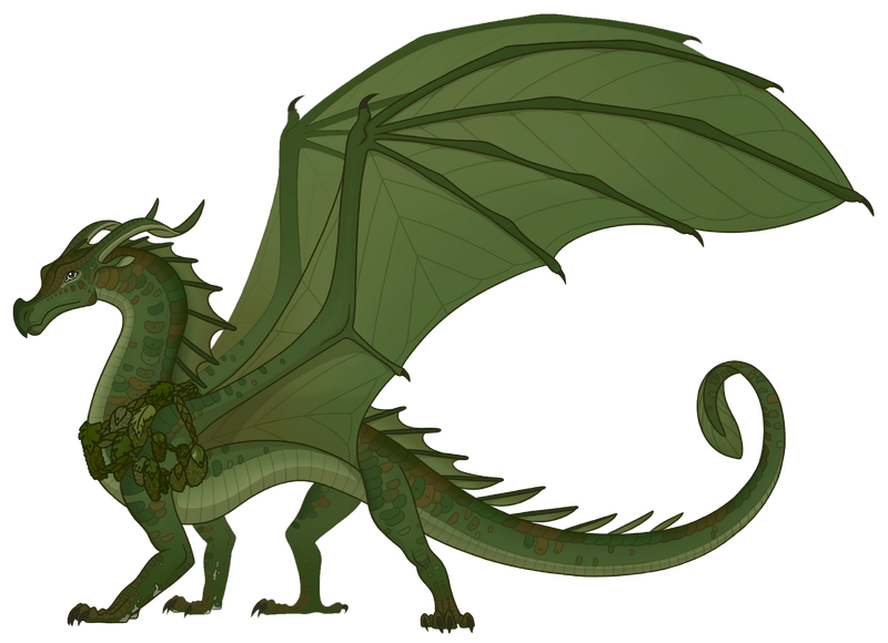 File:Белладонна референс.png