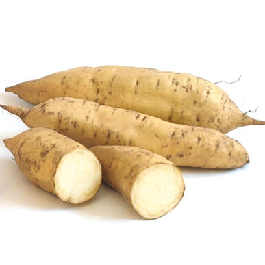 File:YAM.jpg