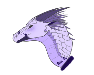 B4b177e33df484fec677dc934005b216 (1).png