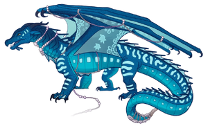 Новый Реф Коралл.webp