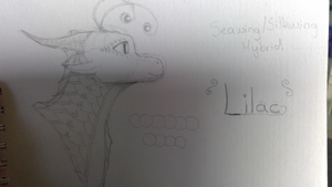 WIN 20200816 15 00 00 Pro.jpg