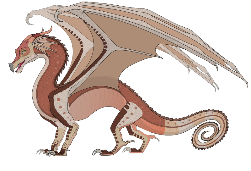 File:Cuscus JA Ref.png