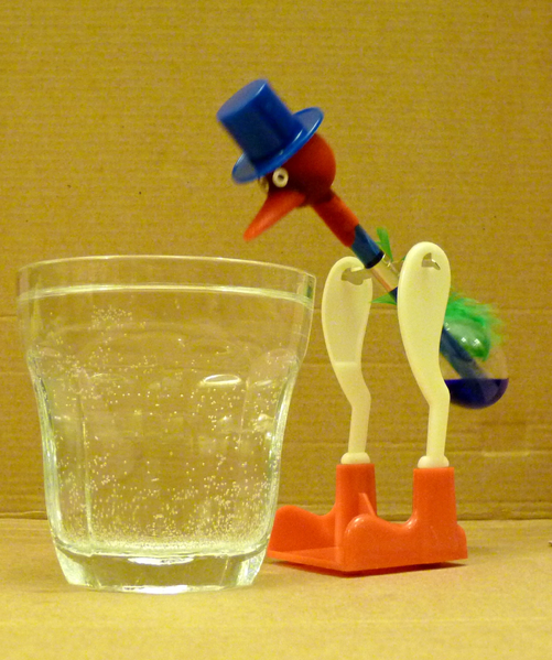 File:Sipping Bird.jpg