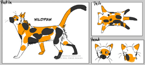 Wildpaw 3 (Fandom).png