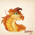 Sunny by Seascraper