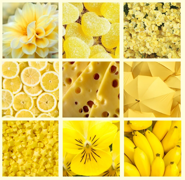 File:Yellow Moodboard.png