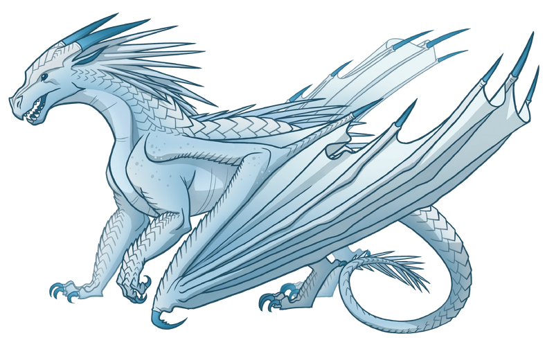 File:Нарвал референс.png