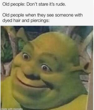 69183487 397547997839970 5631184234512952913 n.jpg