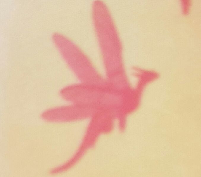 File:20200817 094628.jpg