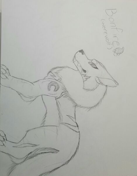 File:20200910 175748.jpg