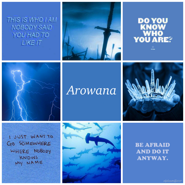 File:Arowana-Aesthetic-Image.jpeg