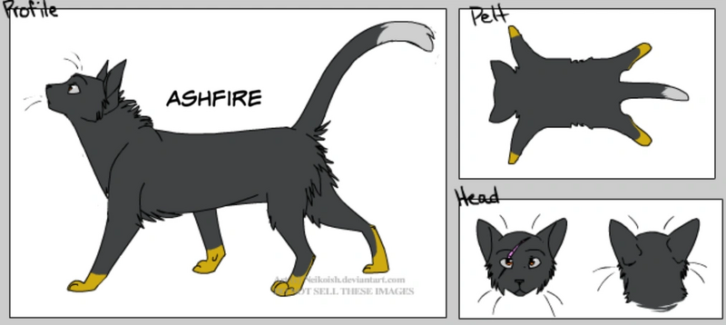 File:Ashfire (Fandom).png