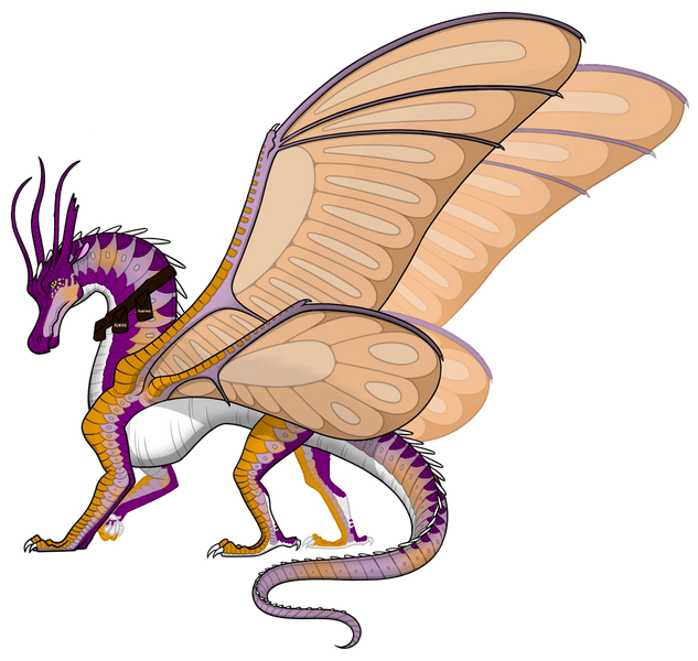 File:AzeleaTheSilkWing.png