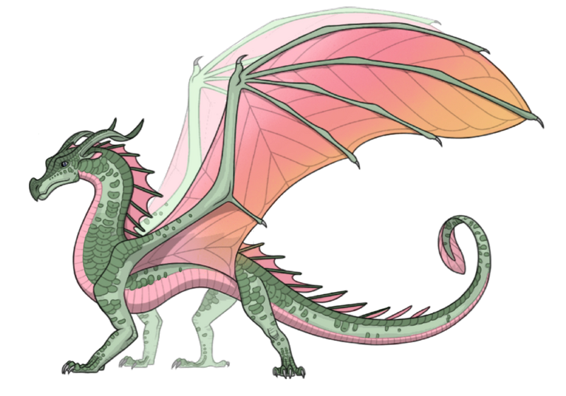 File:Bean 1.coco..png