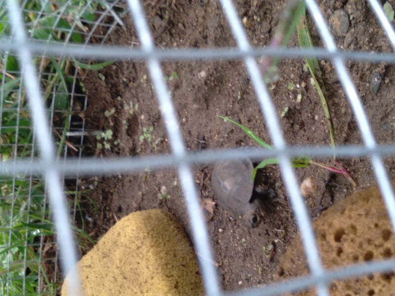 File:20200903 104803.jpg