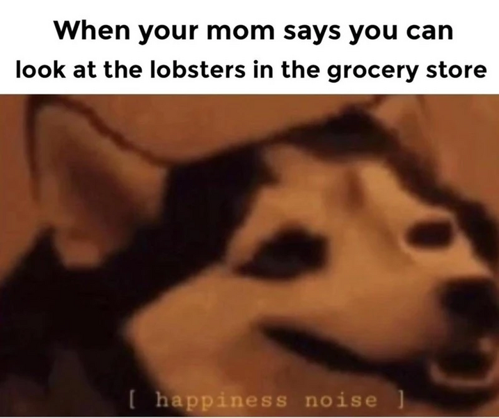 File:Wholesome-meme-about-mom-letting-your-look-at-the-lobsters-in-the-supermarket.jpg