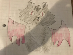 Scoll’s gift for me -D.webp