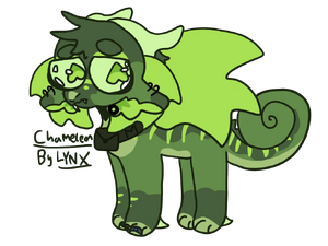 Lynx's hc chameleon.png