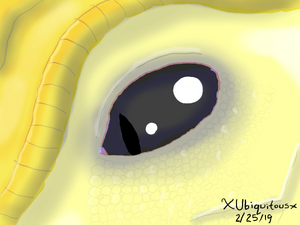 Qibli's Eye.png