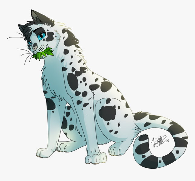 File:406-4065551 warrior-cats-medicine-cat-oc-hd-png-download.png