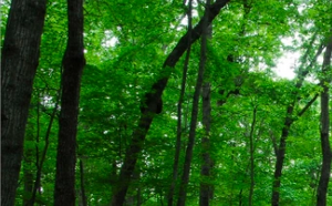 屏幕快照 2020-03-26 下午12.51.43.png