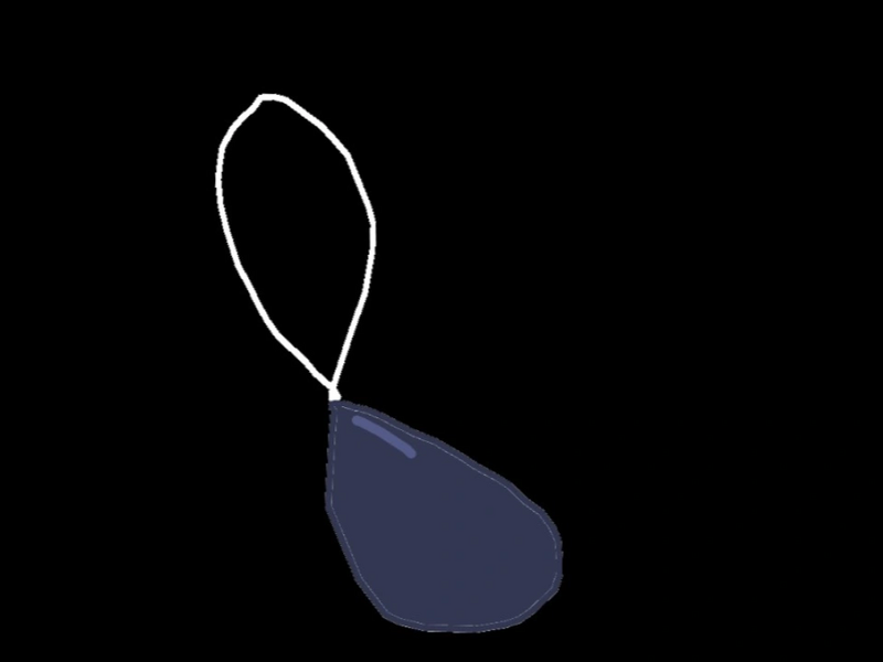 File:Acanthaster's Necklace.png