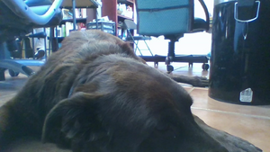 IMG 20201021 09151008.jpg