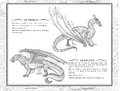 The SkyWing and SeaWing page from The Dragonet Prophecy to The Brightest Night.
