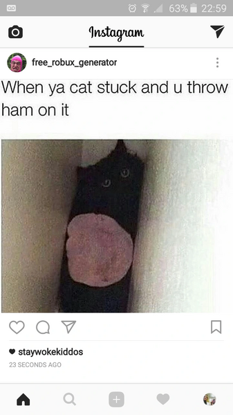 File:8626123966653083245-account id=1.png