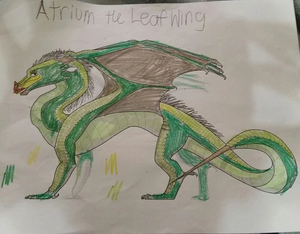 Atrium the LeafWing.jpg