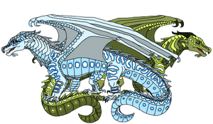 A Shell and Gill.png