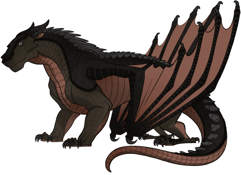 File:Референс Брюха.png