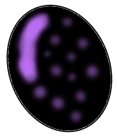 File:Bd98bc15-214f-44cc-9d8a-39843a93c3d7 (7).png