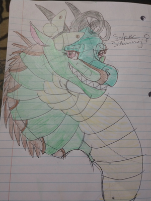 IMG 20181226 191257119.jpg