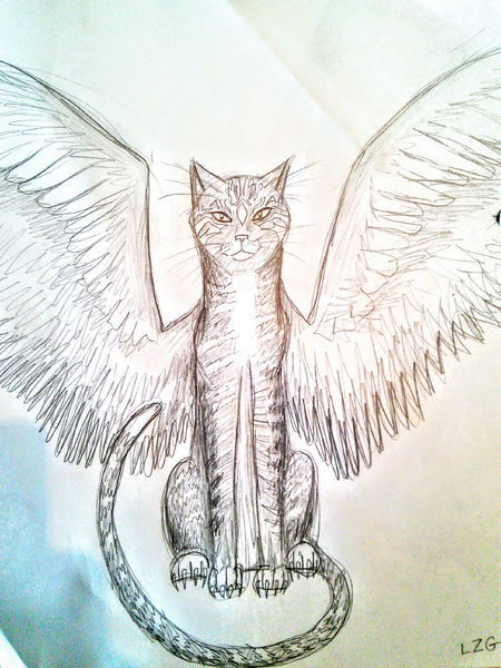 File:WingCat.jpg