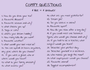 Comfy Questions .jpg