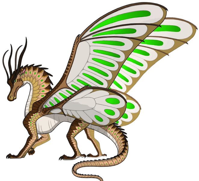 File:Cumulus's SilkWing ref.png