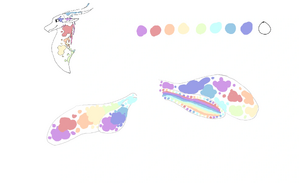 Arty Headshot Ref and Wing Ref.png