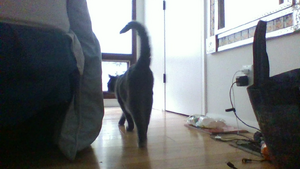 IMG 20201022 074558232.jpg