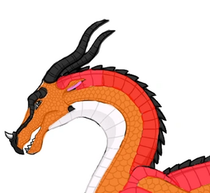 Willet for Timber.png