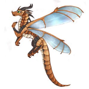 67726429 759310097854633 4106450207571066589 n.jpg