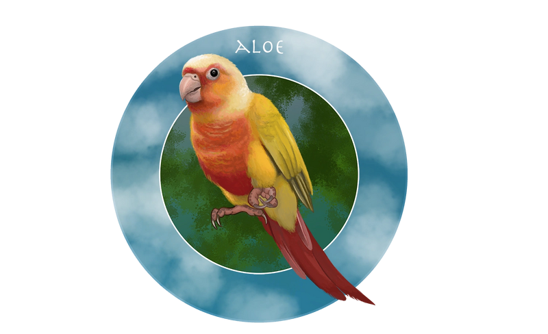 File:Aloe.png