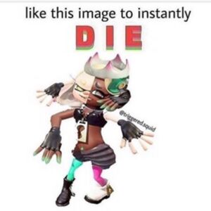 52840537 2593382380888552 2608695252636932596 n.jpg